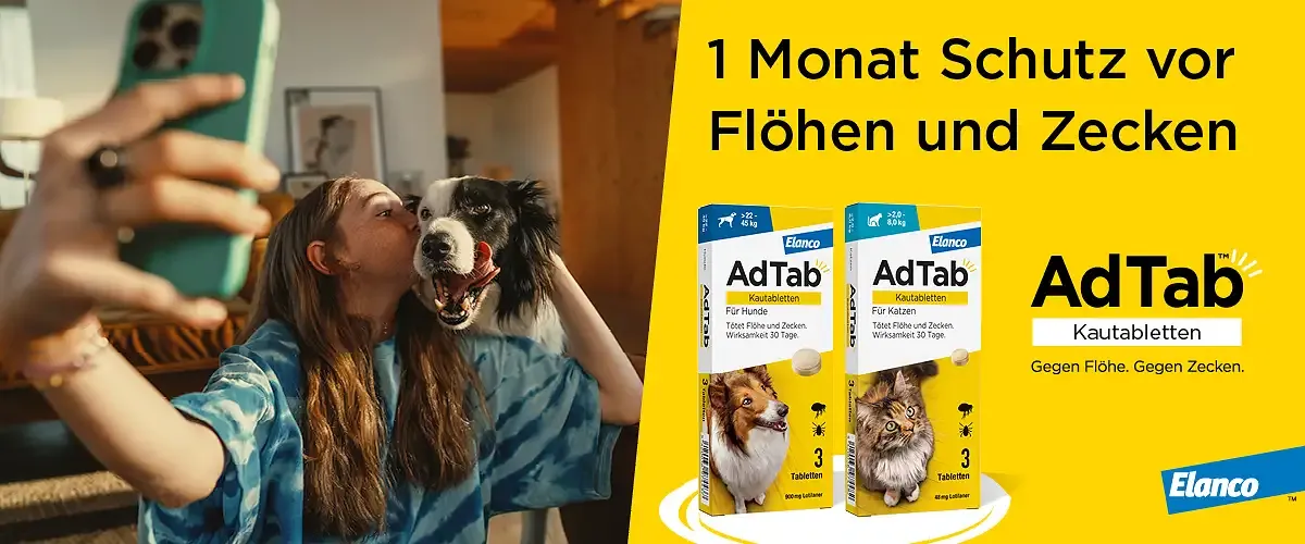 AdTab: Die leckere Kautablette gegen Flöhe & Zecken