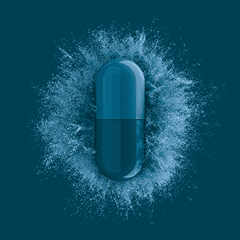 Immunsystem & Darm