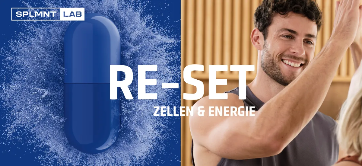 SPLMNT LAB Zellen & Energie