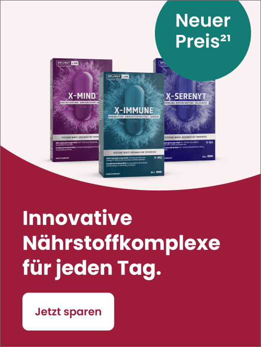 Bannerbild