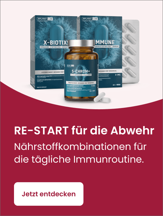 Bannerbild