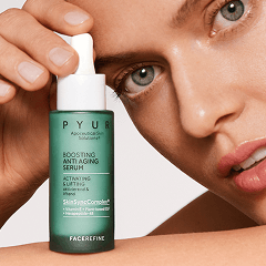 Verfeinerung & Optimierung