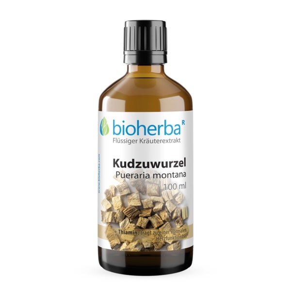 Kudzuwurzel Extrakt Tropfen 100 ml