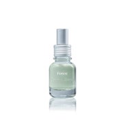 Jimmy Boyd Fresh Fragance Forest