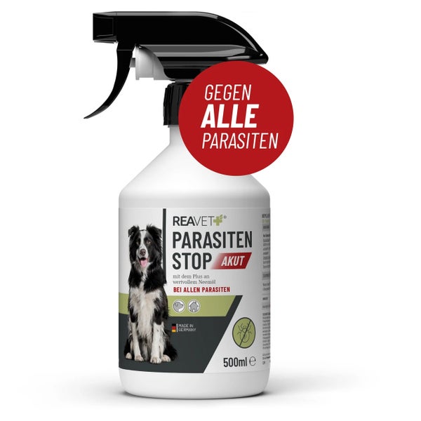 Parasiten Stop AKUT - ReaVET 500 ml