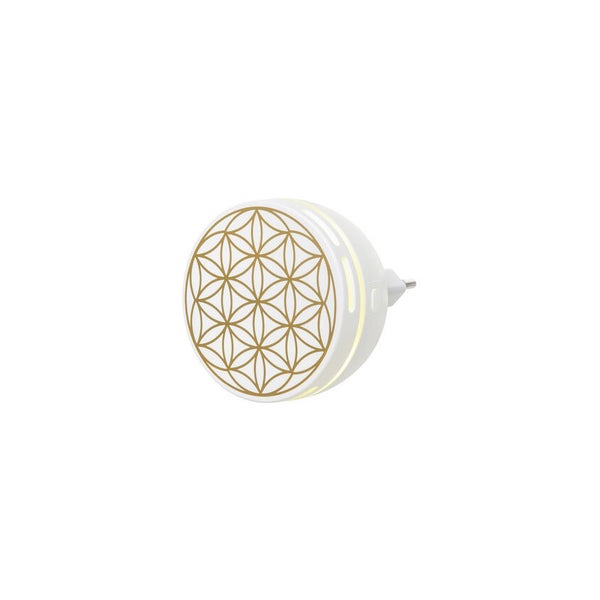 Aroma Duftstecker Easy 1 St