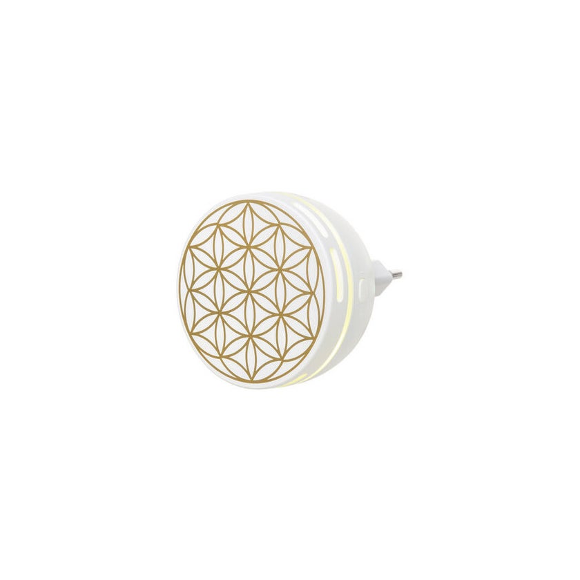 Aroma Duftstecker Easy 1 St