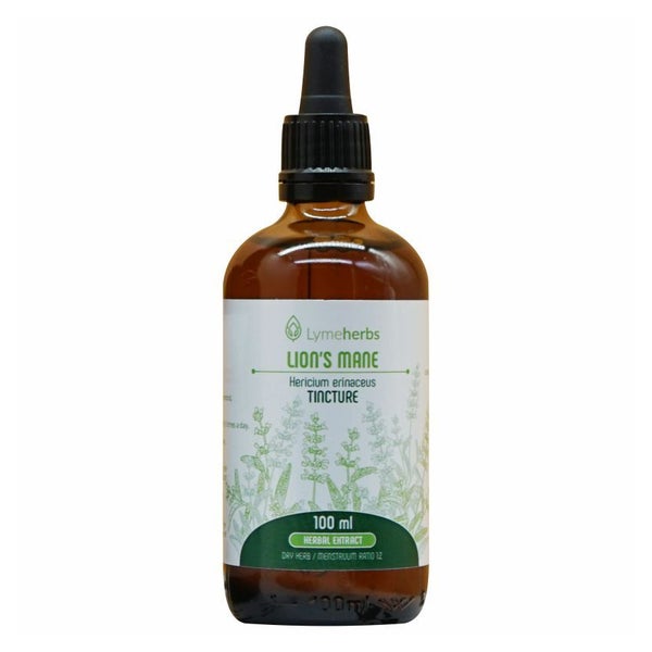 Igel-Stachelbart (lion 's mane), Tinktur 1: 2 (100 ml) 100 ml