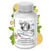 Athina® Oregano Öl Vegan Bio magensaftresistent 1 x 60 Kapseln I 100 mg Athina® Wildes Berg Oregano Öl I Origanum vulgare hirtum aus Griechenland I 80% Carvacrol I Reine & natürliche Zutaten 60 St