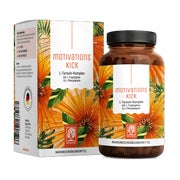 Produktabbildung: L-Tyrosin Komplex mit L-Tryptophan & L-Phenylalanin - MOTIVATIONSKICK - 90 vegane Kapseln - NATURTREU® 90 St