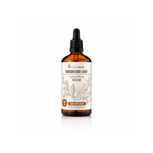 Löwenzahnblatt-Tinktur 1:3 100 ml
