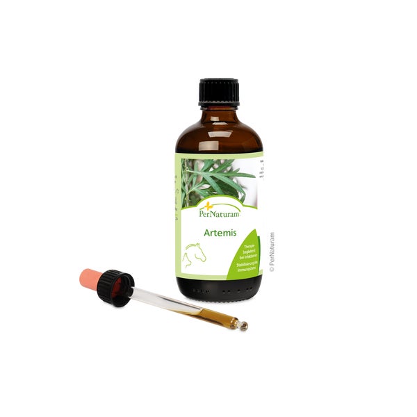 Artemis 100 ml