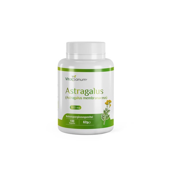 VitaSanum® – Astragalus (Astragalus membranaceus) – 1000 mg Tagesportion – 100 vegane Kapseln 100 St
