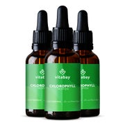 Produktabbildung: Vitabay Chlorophyll Tropfen- aus Alfalfa und Chlorella 300 ml