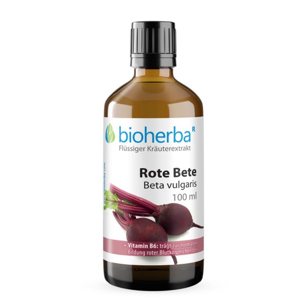 Bioherba Rote Bete Beta vulgaris Tropfen Tinktur 100 ml