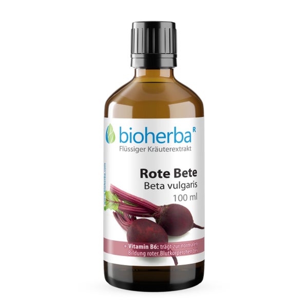 Rote Bete Beta Vulgaris Extrakt Tropfen 100 ml