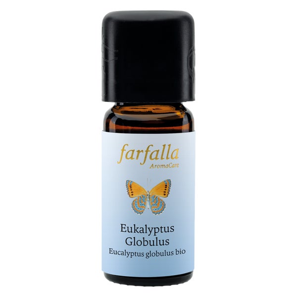 Farfalla Eukalyptus globulus bio