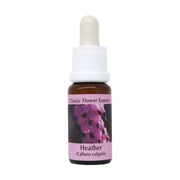 PHI Essences – Heather Bachblüte Nr. 14 – 1 St
