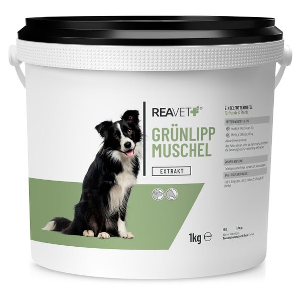 Grünlippmuschel Konzentrat 1000 g