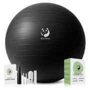 Gymnastikball Pezziball 55 85cm Pumpe explosionsgeschützt Sc 1 St