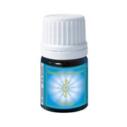 Produktabbildung: Dyhankan-konzentrat 2 ml