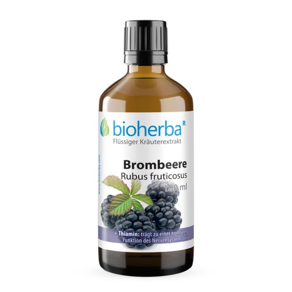 Brombeere Rubus Fruticosus Extrakt Tropfen 100 ml