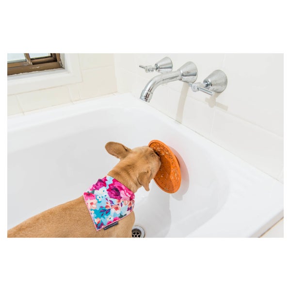LickiMat Splash - Schleckschale aus Naturgummi für Hunde und Katzen - türkis - 20 cm 1 St