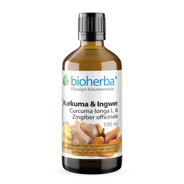 Kurkuma & Ingwer Extrakt Tropfen 100 ml
