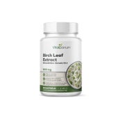VitaSanum® Birkenblätter-Extrakt 10:1 500 mg pro Tagesportion (1 Kapsel) 90 St