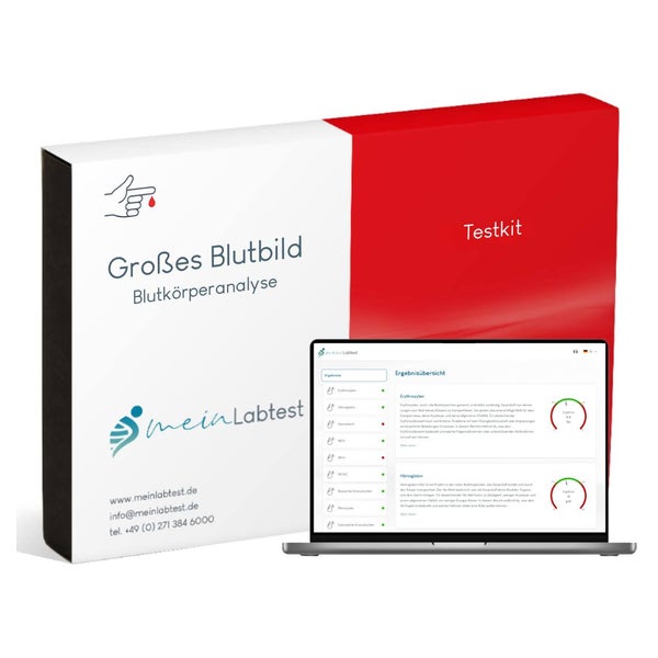 Meinlabtest Großes Blutbild (Bluttest) 1 St