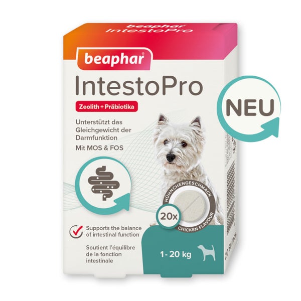 Beaphar IntestoPro Tabs für kleine Hunde - Unterstützt das Gleichgewicht der Darmfunktion - 20 Stück 20 St
