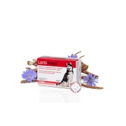 New LactoAdapt 60 g