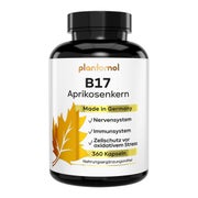plantomol® Aprikosenkerne Kapseln - Vitamin B17 & Vitamin C