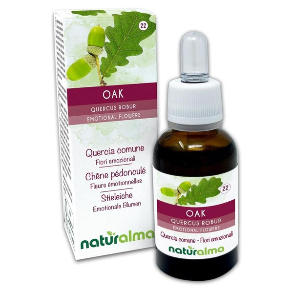 Naturalma Stieleiche Quercus robur var. pedunculata Tropfen 30 ml