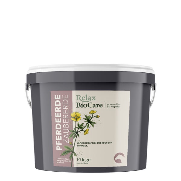 Zaubererde Pferd 0,6 kg