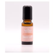 DHiW - Buzz off 2 Stich Insektenstiche - Roll on 10 ml