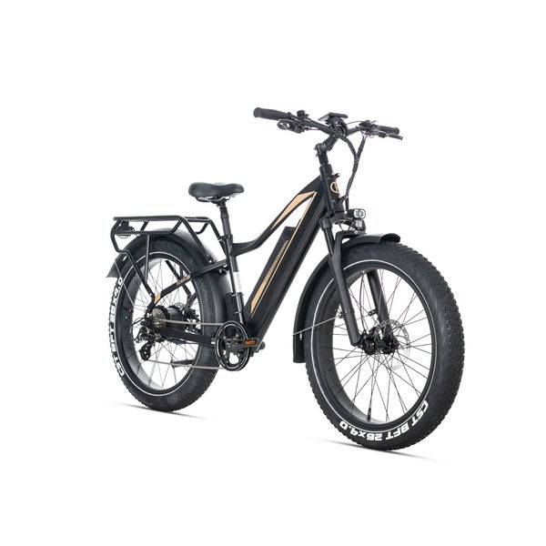 JOBOBIKE Robin Pro Elektro-Mountainbike, 48 V 20 Ah,Gold 1 St