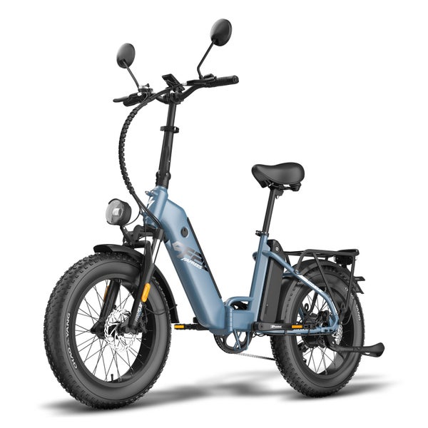 FAFREES FF20 Polar Elektrofahrrad, 48V 13,4Ah Akku (* 2) 1 St