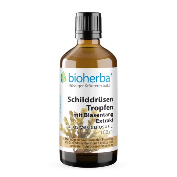 SchilddrÜsen Tropfen Mit Blasentang Extrakt 100 ml