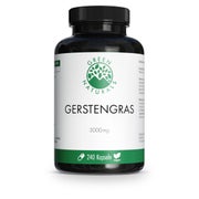 GREEN NATURALS Gerstengras 3000 mg Kapseln vegan 240 St