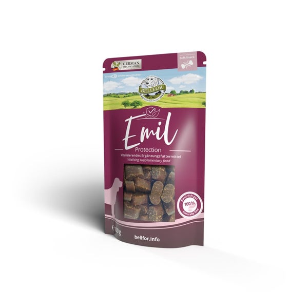 Bellfor Emil Protection Hundesnacks mit Lachs 100 g