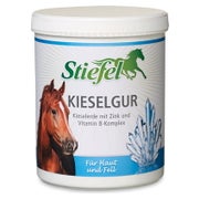 Stiefel Kieselgur 1 kg
