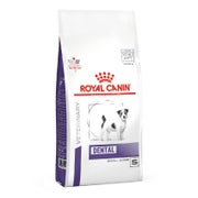 ROYAL CANIN Small Dog dental Trockenfutter für kleine Hunde mit erhöhtem Risiko für Zahnerkrankungen 3,5 kg