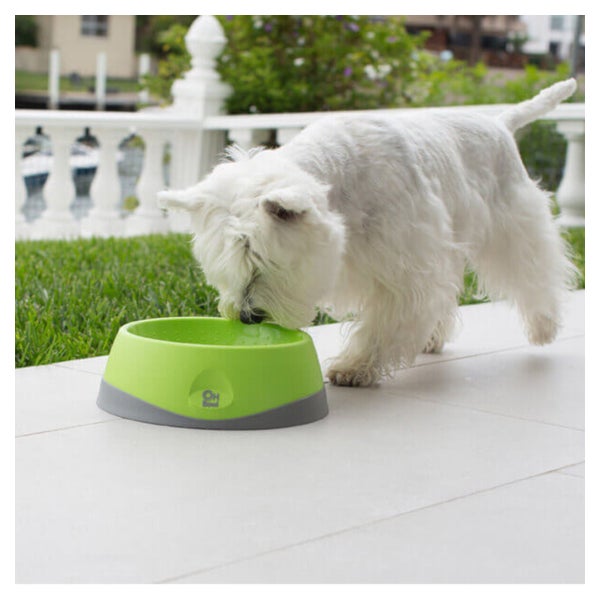 LickiMat OH Bowl - Schlecknapf für Hunde - grün - Medium 1 St