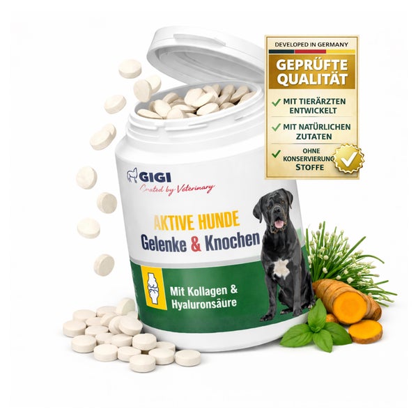 GIGI VET Aktive Hunde Gelenke & Knochen 90 St