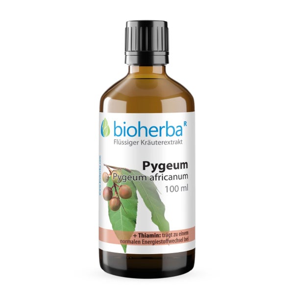 Pygeum Extrakt Tropfen 100 ml