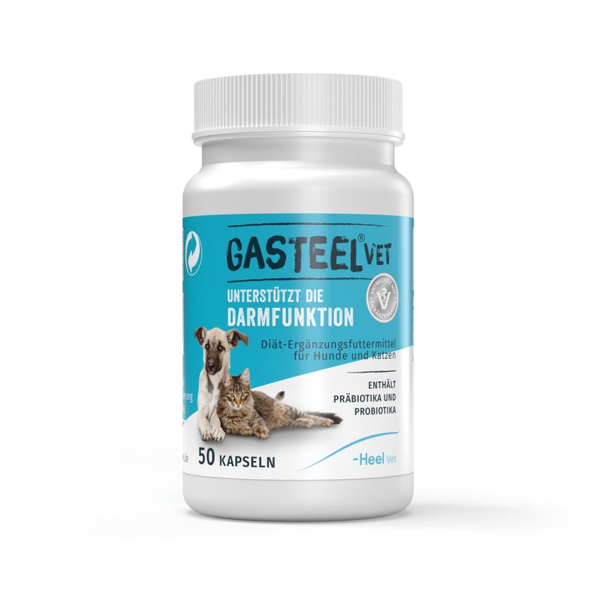 GASTEEL VET Kapseln Hund und Katze 50 St