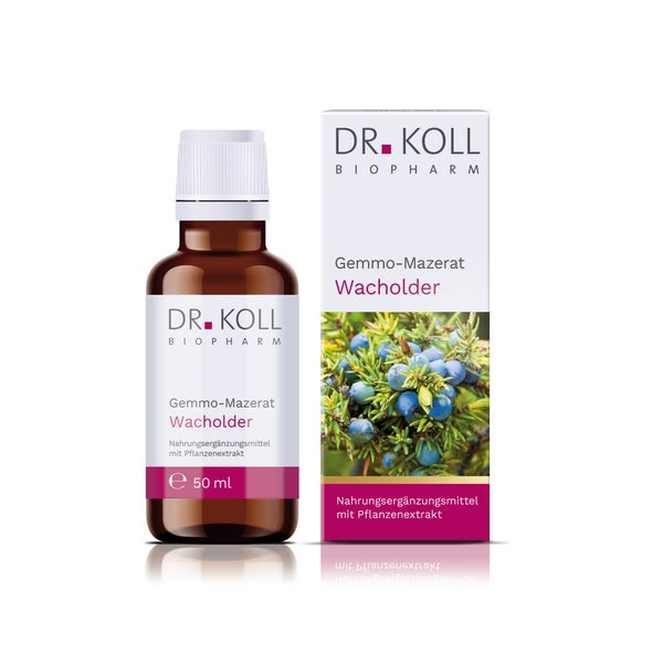 Gemmo-mazerat Wacholder Dr.koll Juniperus Com.tro. 50 ml
