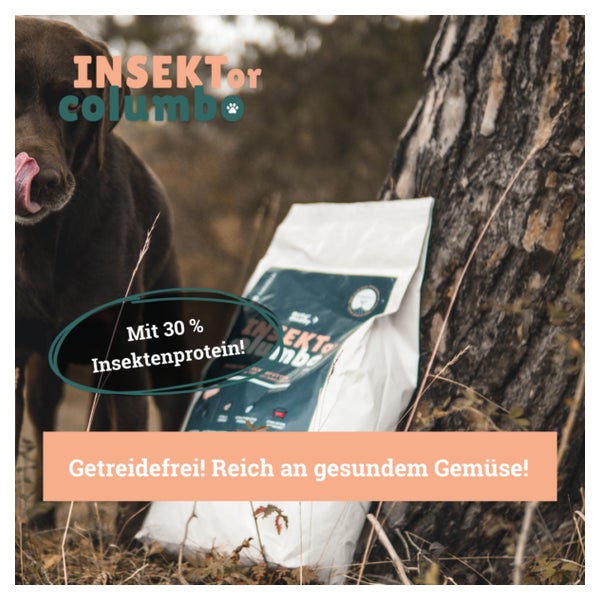 hund nass oder trockenfutter Nass- & Trockenfutter Probier-Set für Hunde (3x400g + 3x100g)
