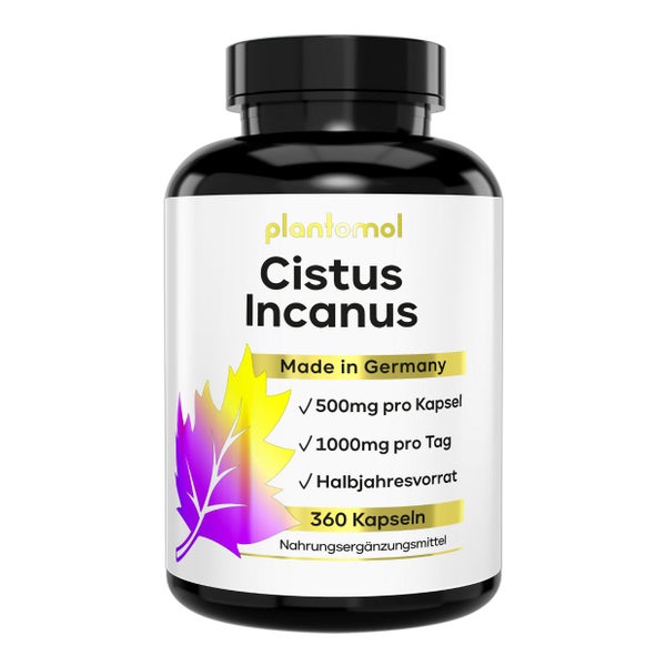 plantomol® Cistus Incanus Kapseln - reines Zistrosenkraut